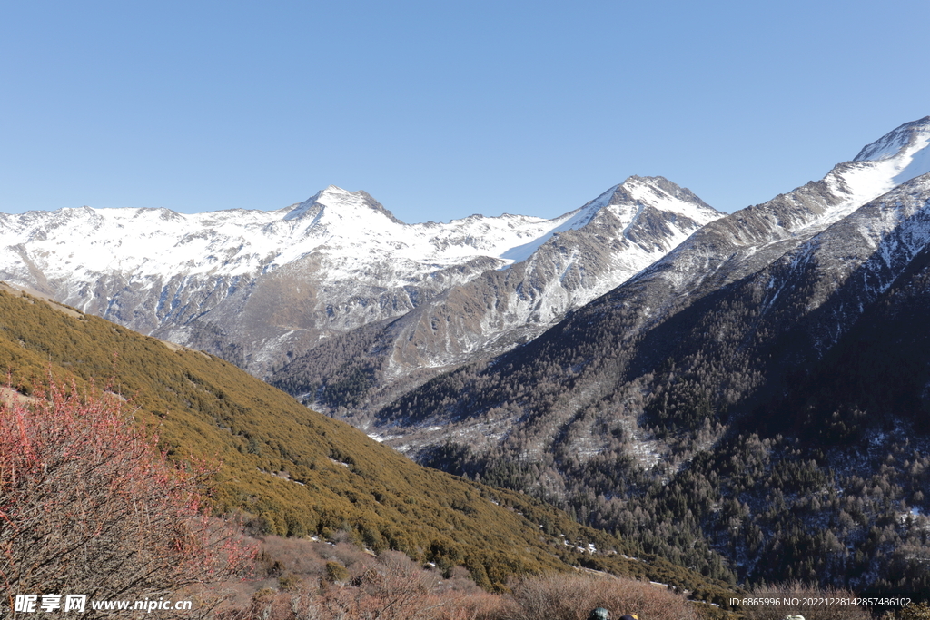 四姑娘山