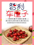 智利车厘子海报