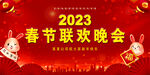 春节联欢晚会  2023兔年