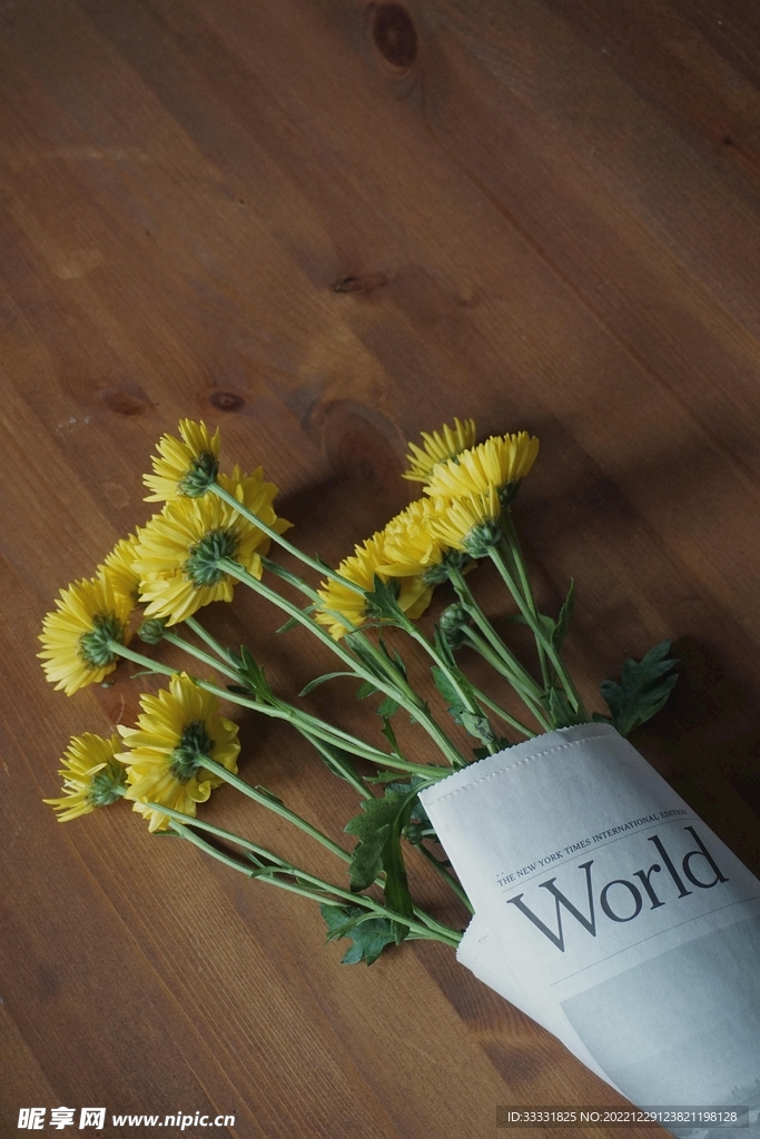 雏菊