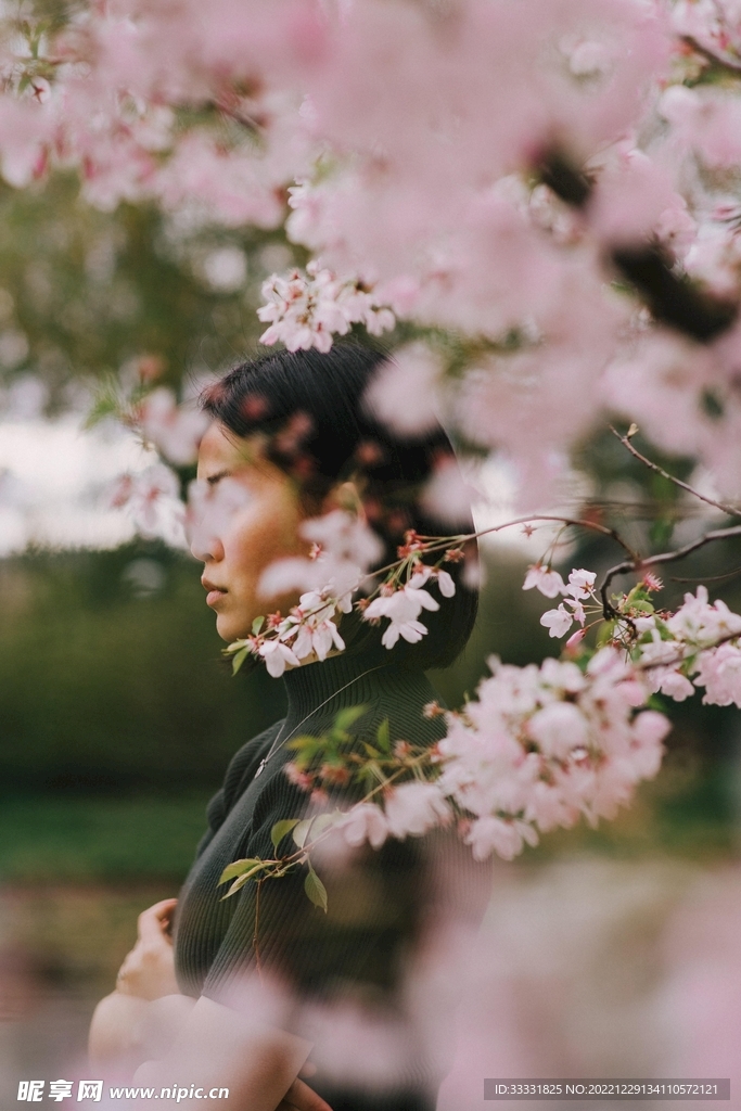 樱花