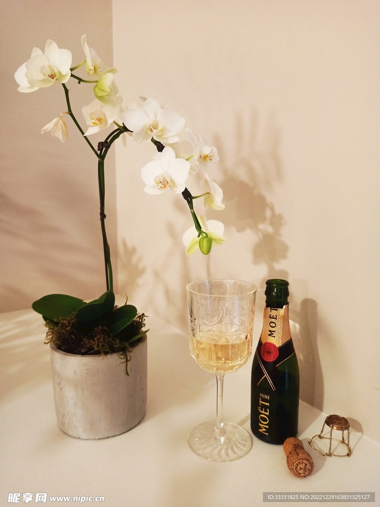 葡萄酒