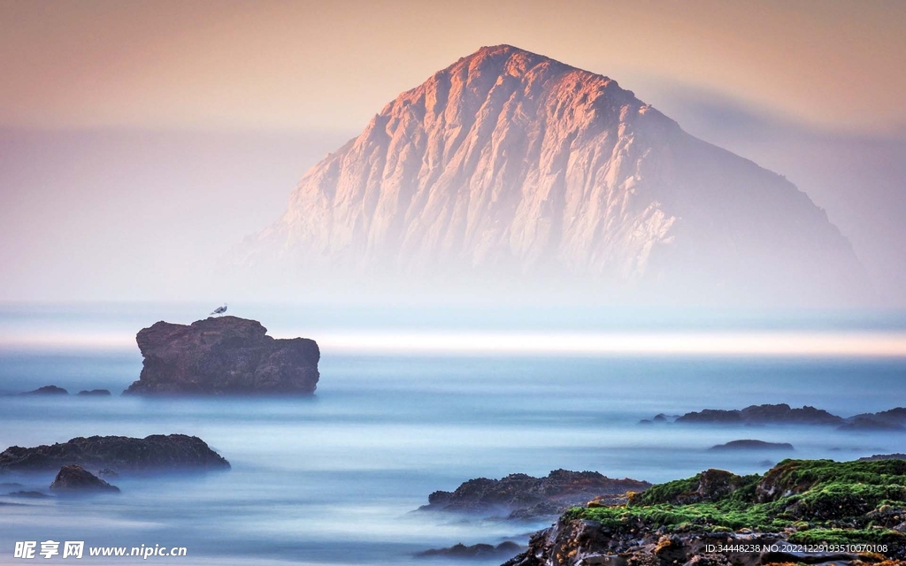 海岸