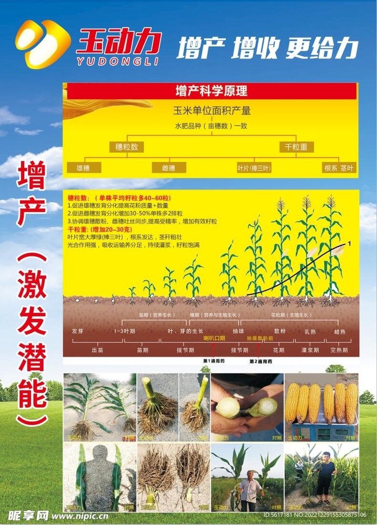 瑞德丰玉动力