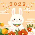 2023兔子