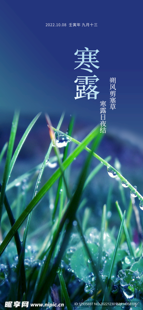 寒露海报