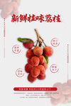 桂味荔枝海报