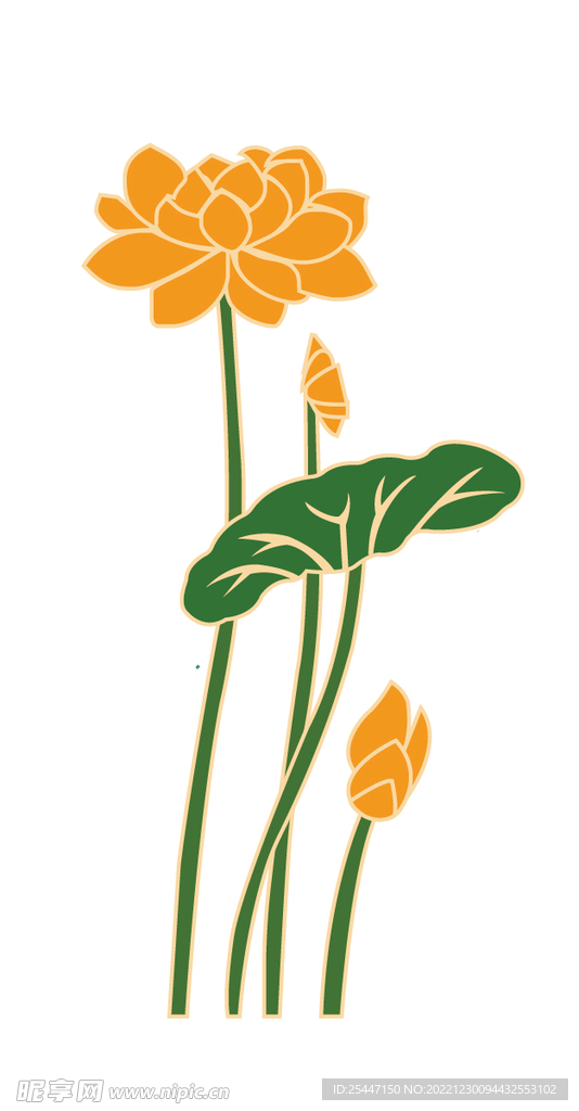荷花