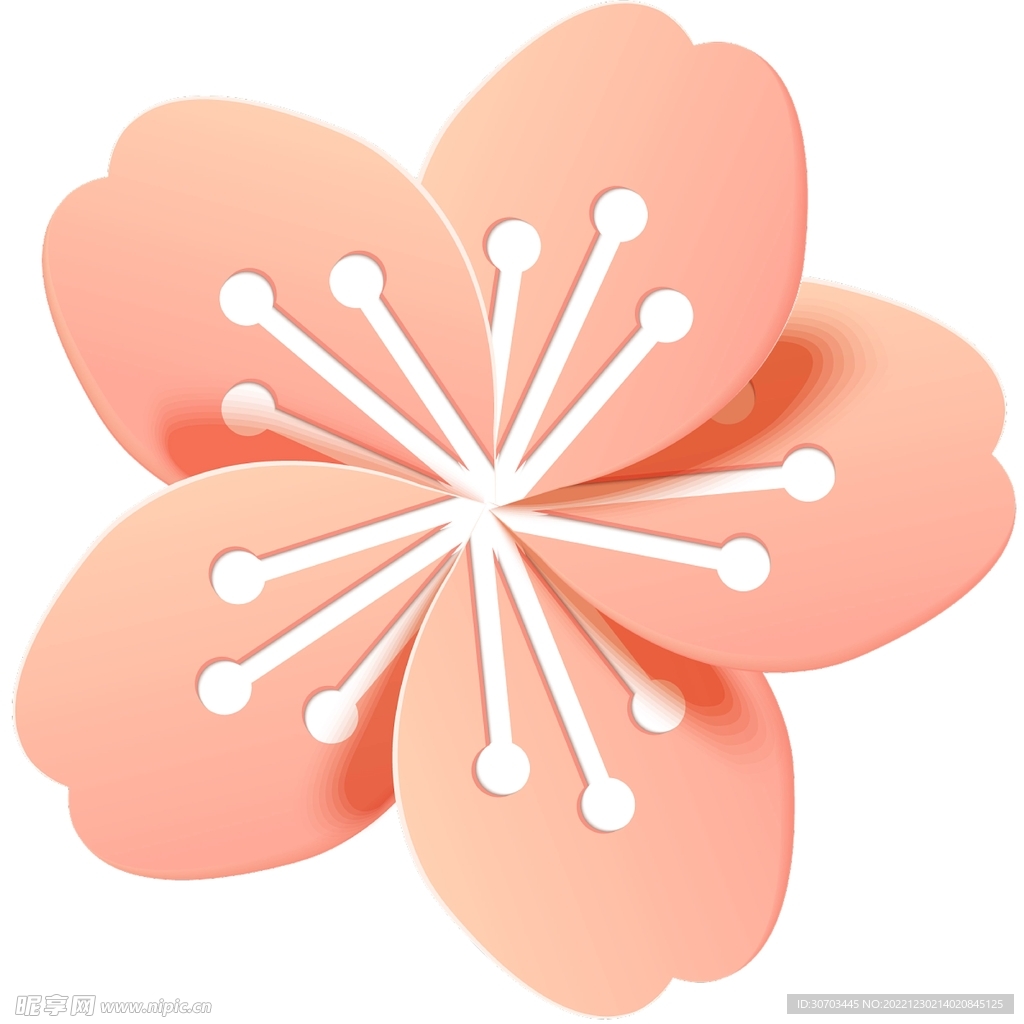 粉色小花