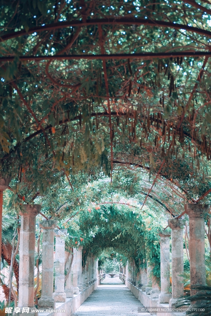 小巷子 