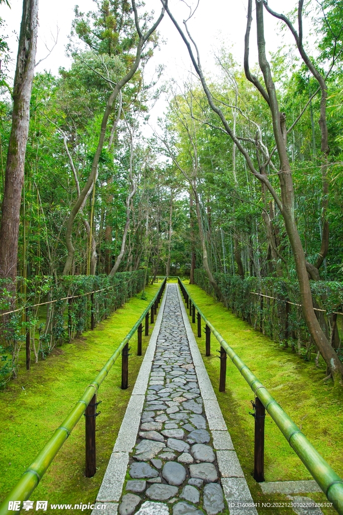 小巷子 