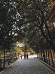 小巷子 