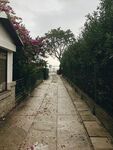 小巷子