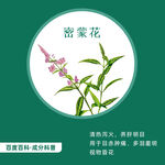 中草药密蒙花