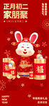兔年正月初二春节习俗3D海报