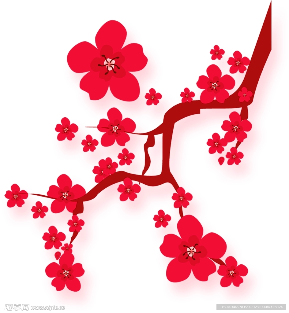 梅花和树枝