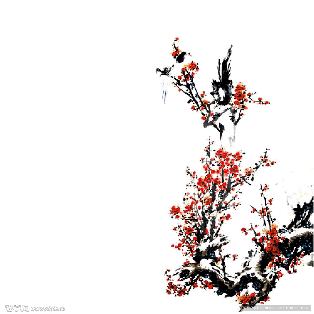 树枝和红色梅花