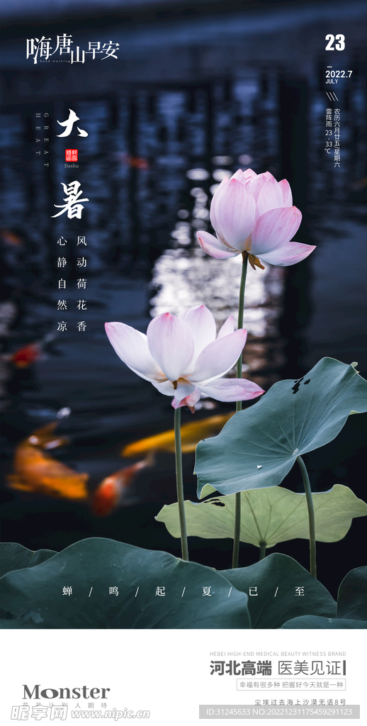 大暑海报