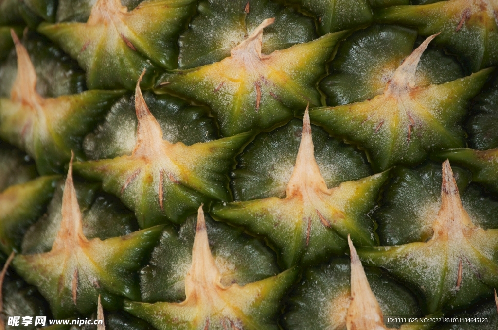 菠萝