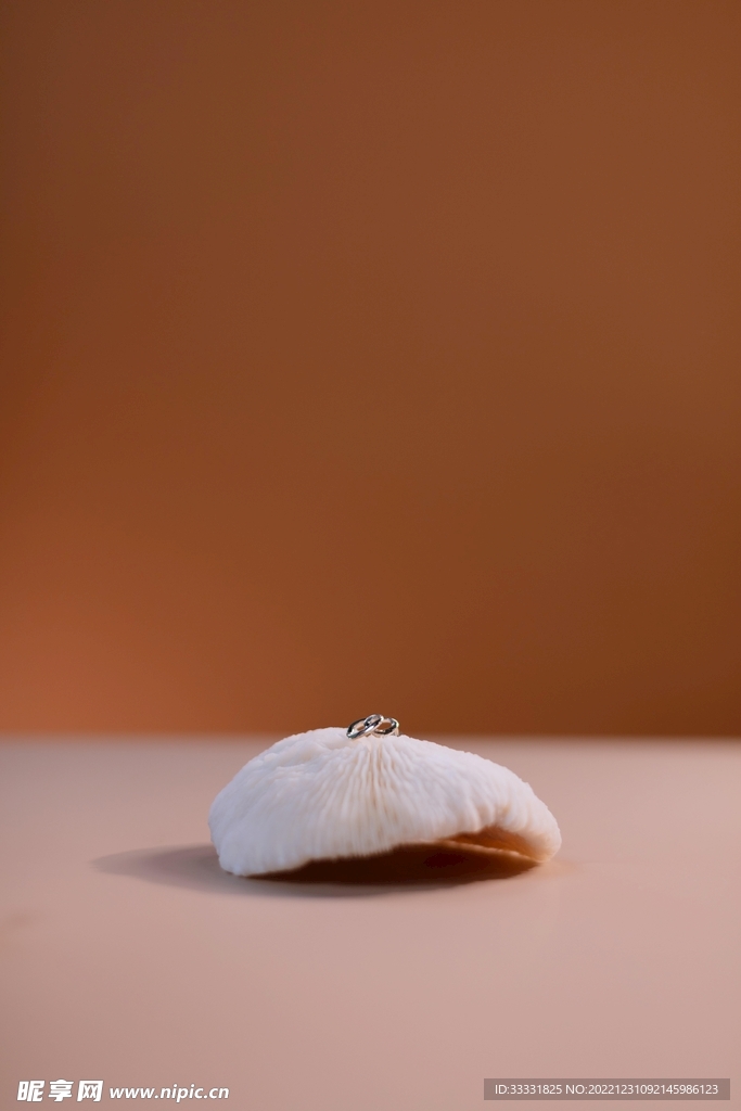 蘑菇