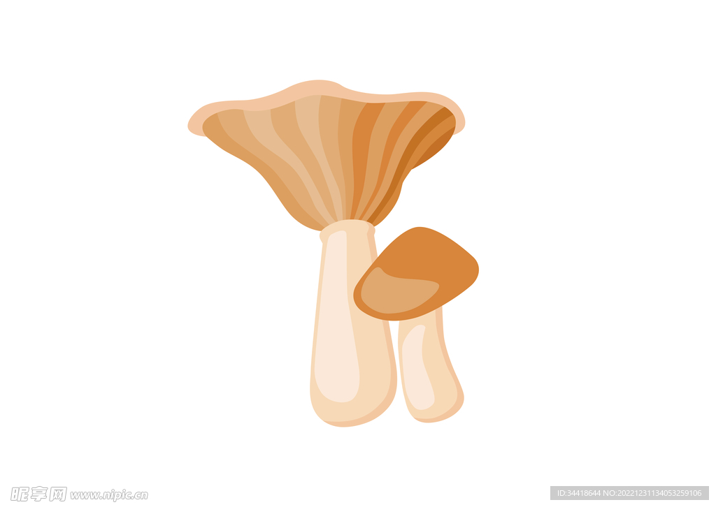 菌菇插画