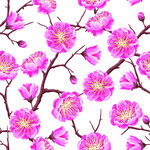 樱花桃花