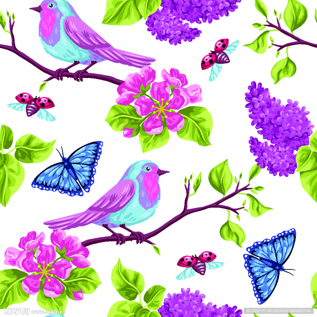 鸟蝴蝶花