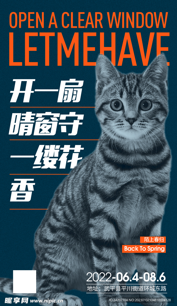 猫海报板式设计