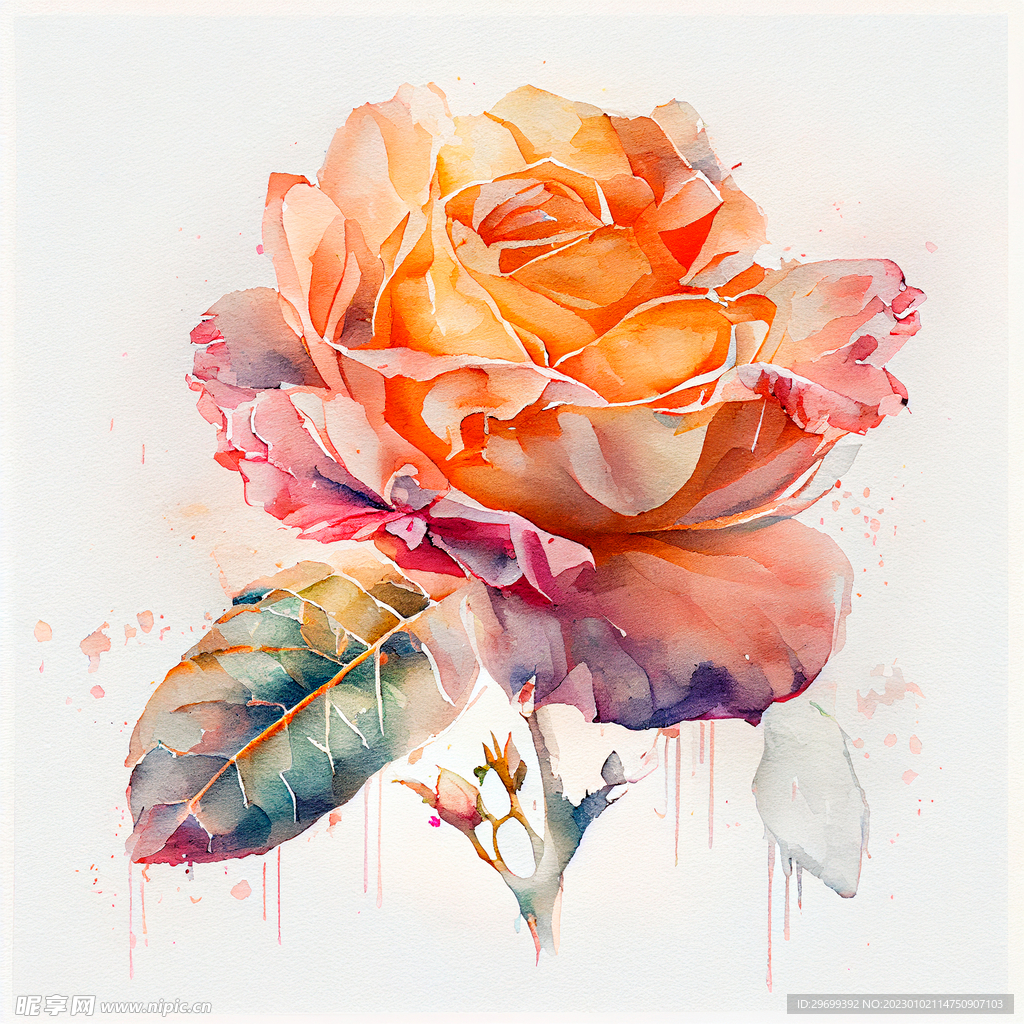 水彩花