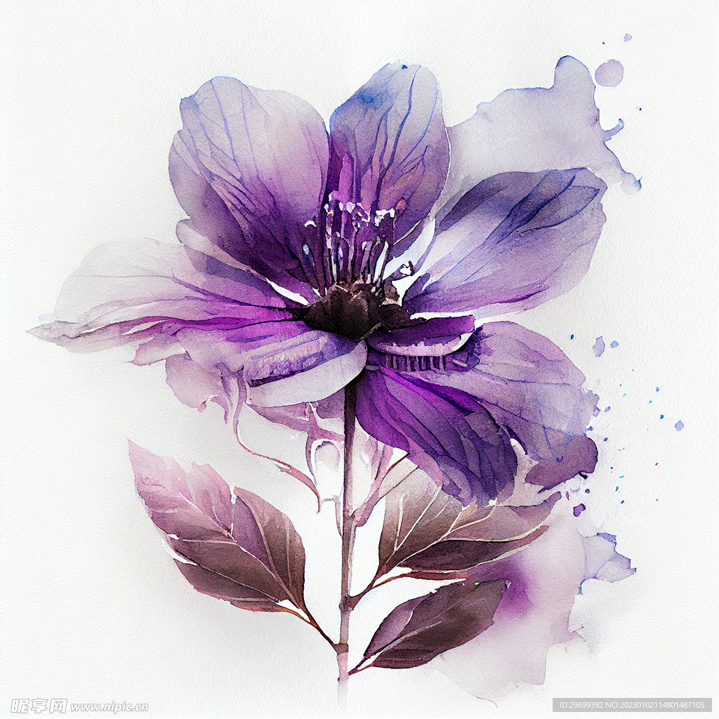 水彩2花