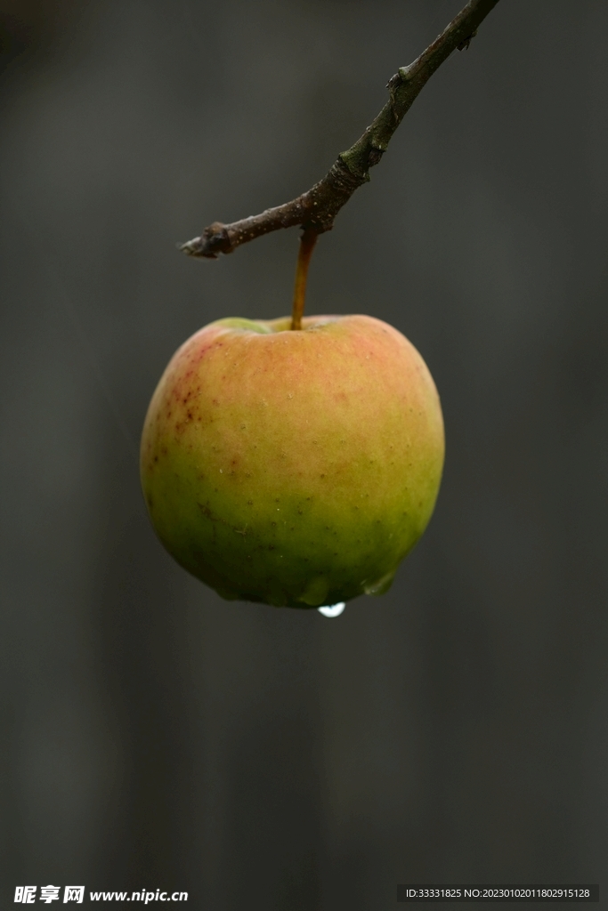 苹果