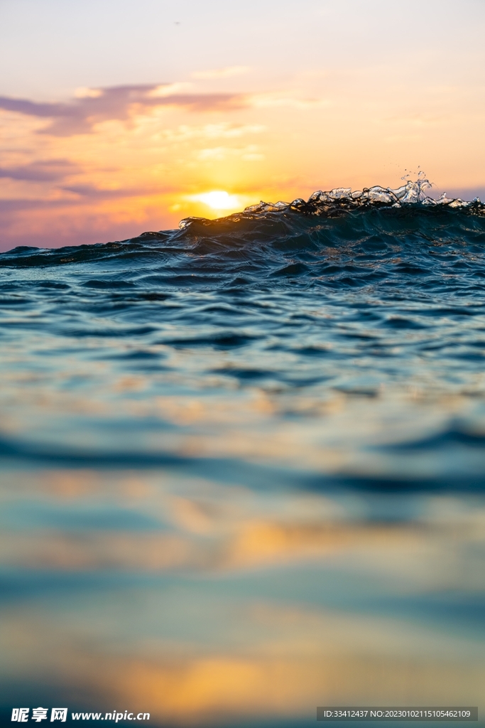 大海