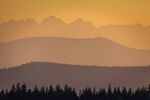 山