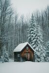 雪地