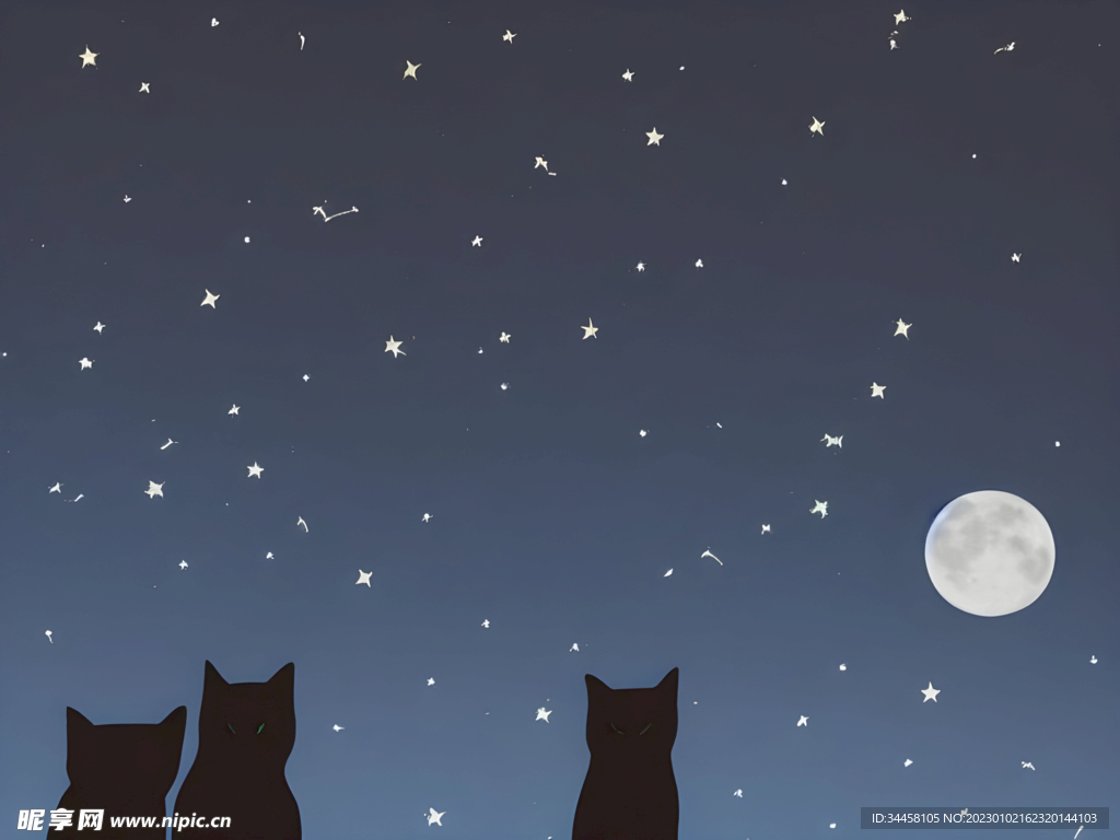 星空和猫