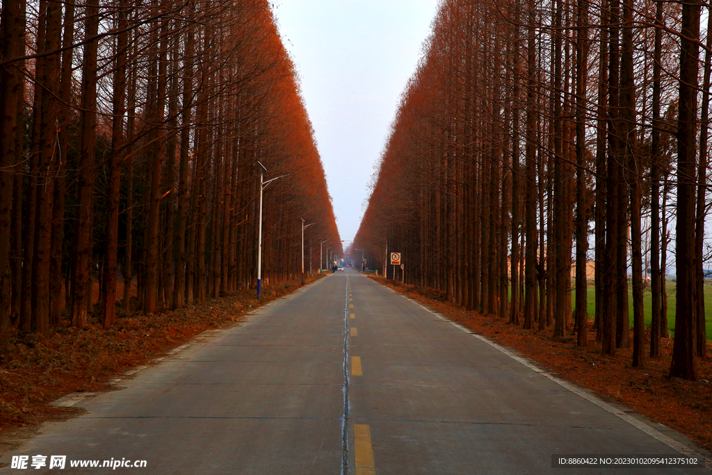 涡阳大于村