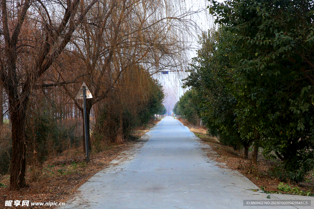 乡村道路