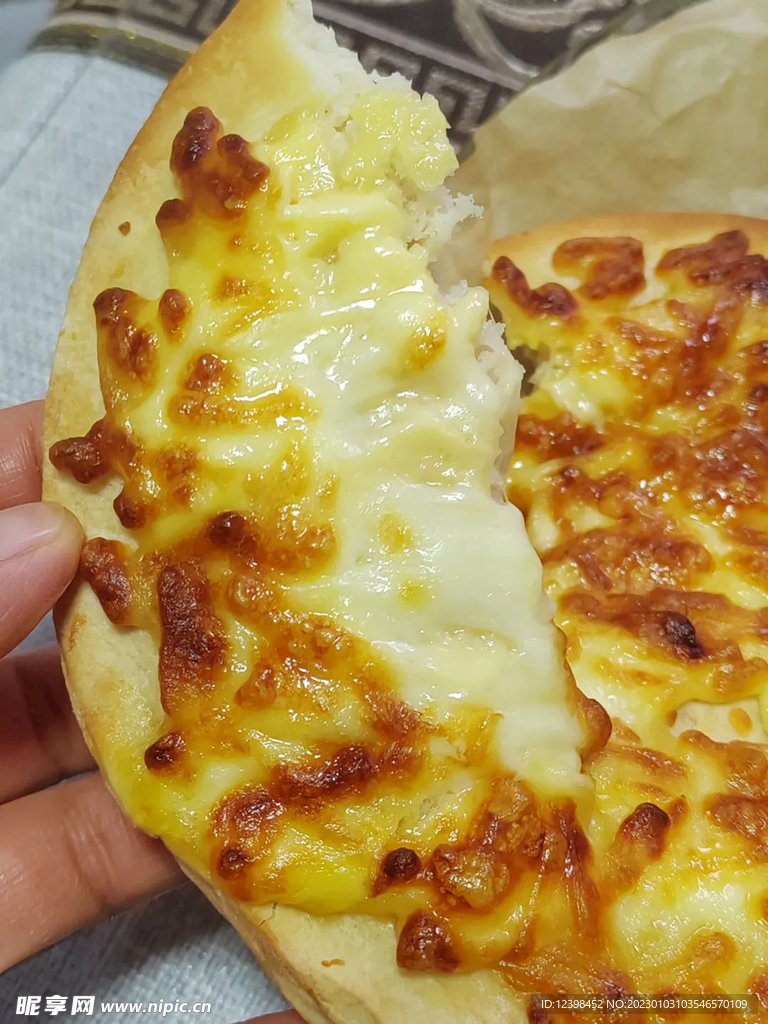 美味的披萨