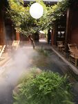 庭院