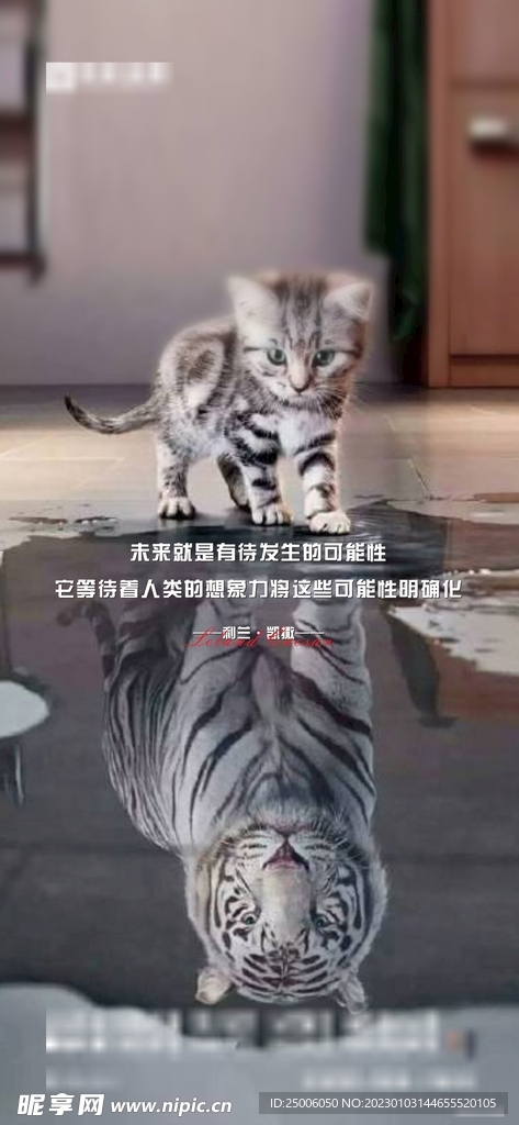 对比 猫 虎 励志日签