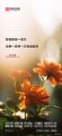 花  励志日签