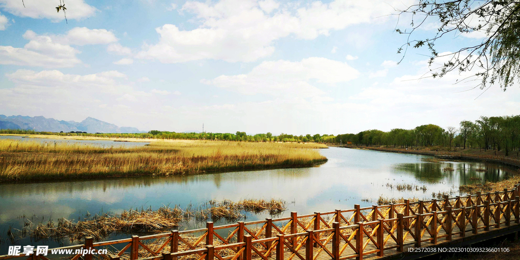 北京野鸭湖湿地公园