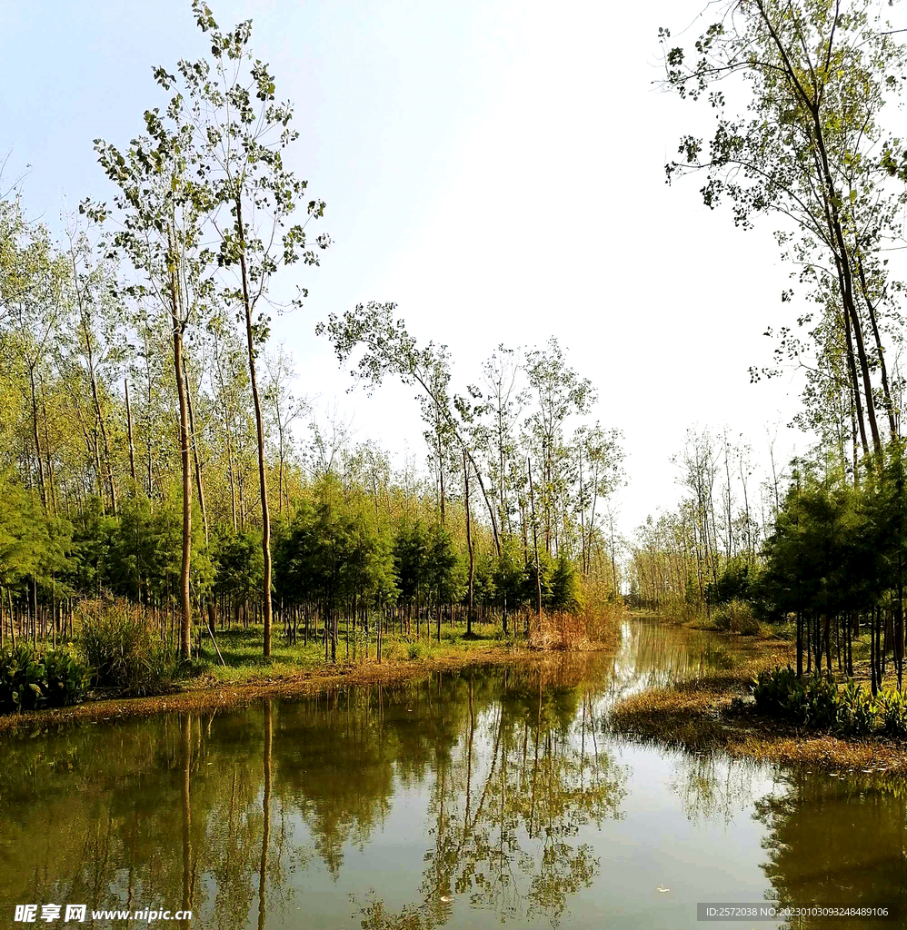 安徽合肥滨湖湿地公园