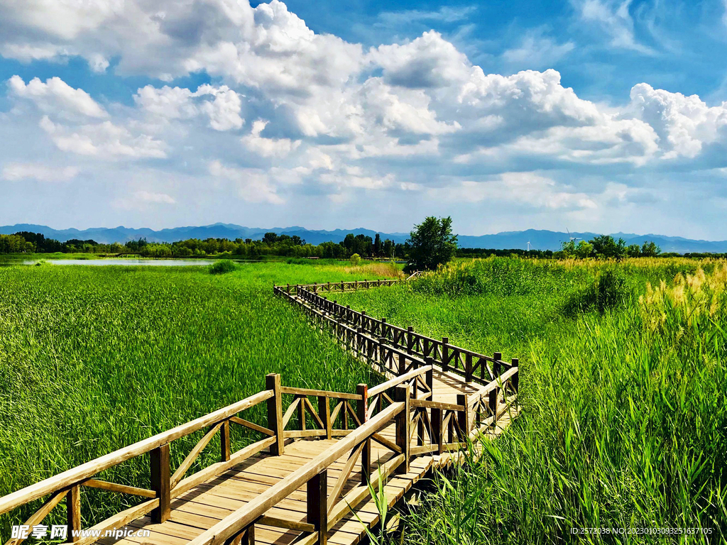 北京野鸭湖湿地公园