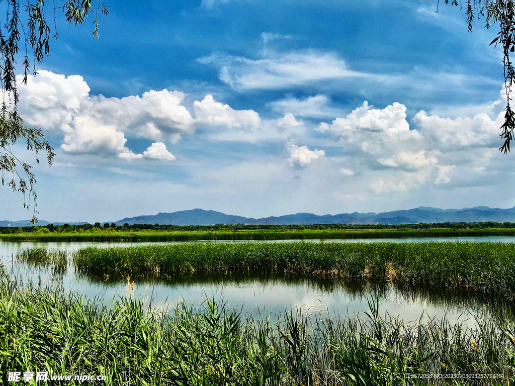 北京野鸭湖湿地公园