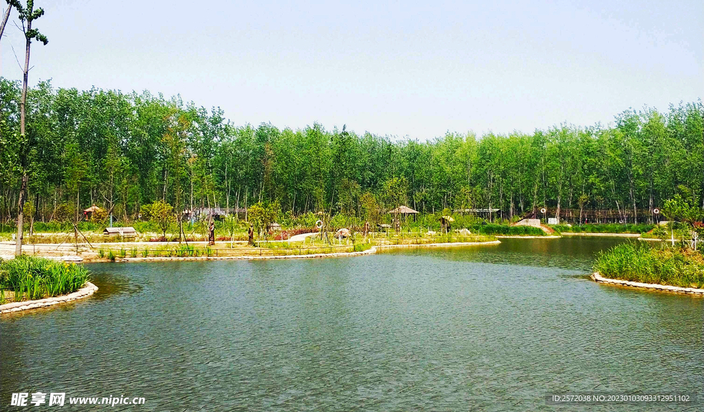 安徽合肥滨湖湿地公园