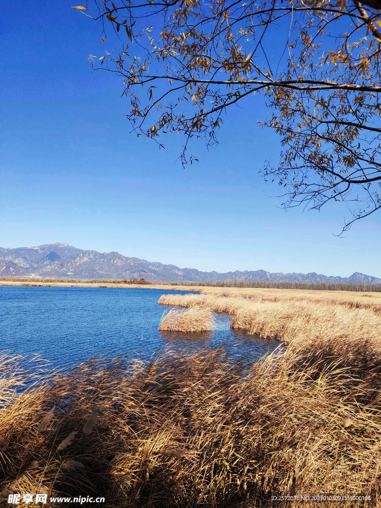 北京野鸭湖湿地公园