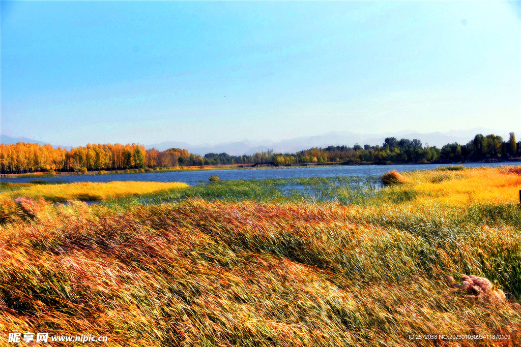 北京野鸭湖湿地公园