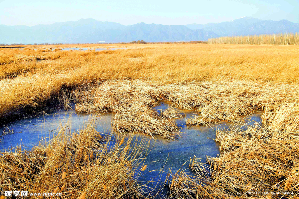 北京野鸭湖湿地公园