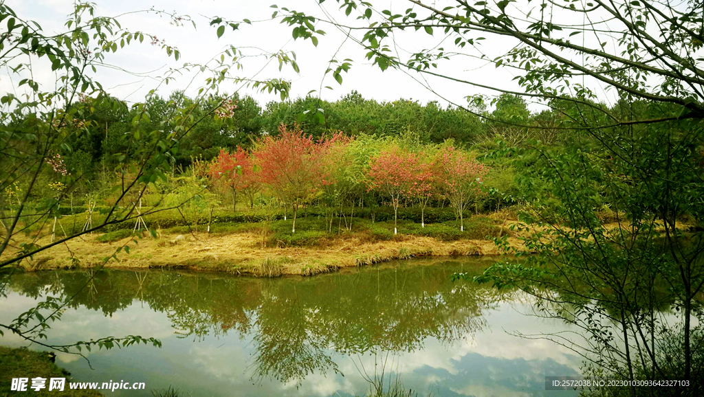 福建长汀汀江国家湿地公园